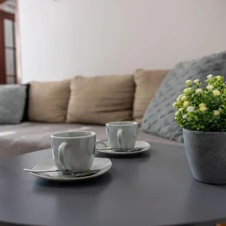Viki Apartament *