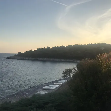 Viki Apartament
